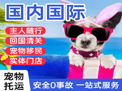 乌兰察布集宁航空快运国际宠物托运 【国